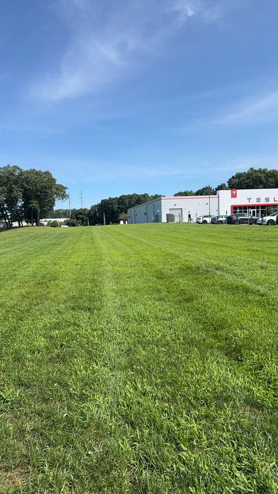 All Photos for Adams Landscaping in Springfield, MA