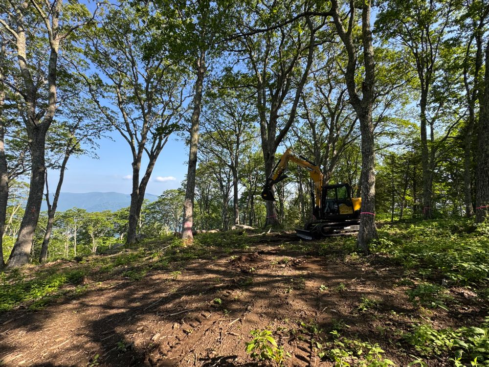 All Photos for Boyd’s Grading in Fruitland, NC