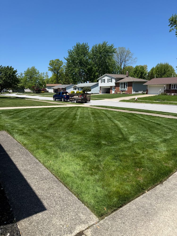 All Photos for Yard Theory in Willowick, OH