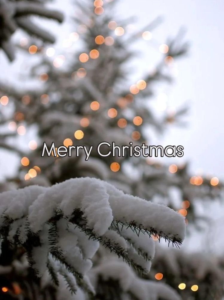 All Photos for Oakwood Tree Removal LLC in Oak Creek,  WI