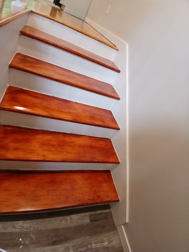 Duplex in Carbondale for Dead Tree General Contracting in Carbondale, Illinois