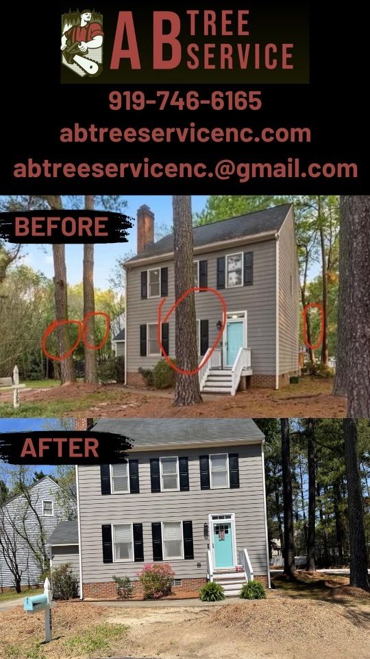 All Photos for AB Tree Service in Raleigh, NC