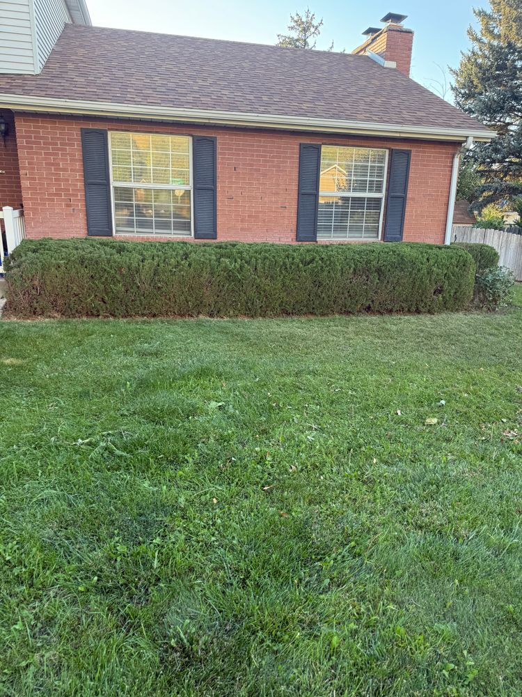 All Photos for Platinum Lawn Service in Santaquin, UT