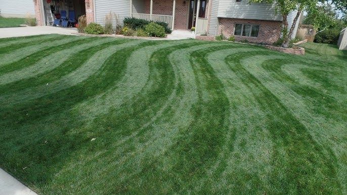 Our expert mowing service ensures your lawn stays healthy and pristine, with precise cutting techniques that enhance curb appeal. Trust us for consistent care, personalized schedules, and professional equipment for outstanding results. for Healthy Roots Landscaping in Apex, NC