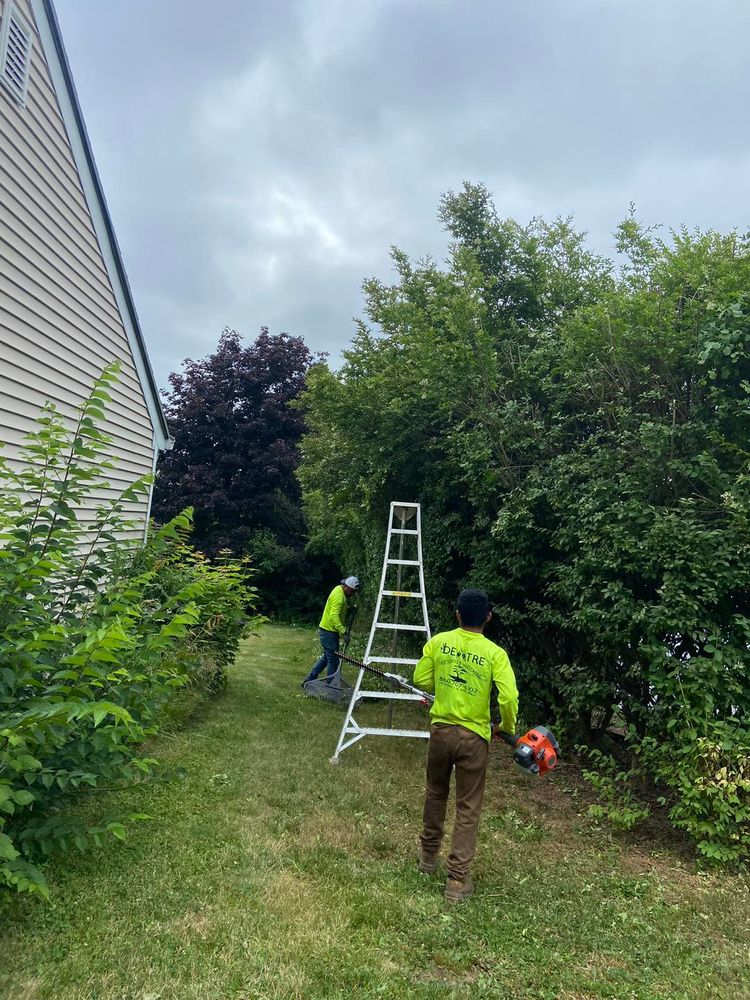 All Photos for Dextre Tree Service in West Hartford, CT