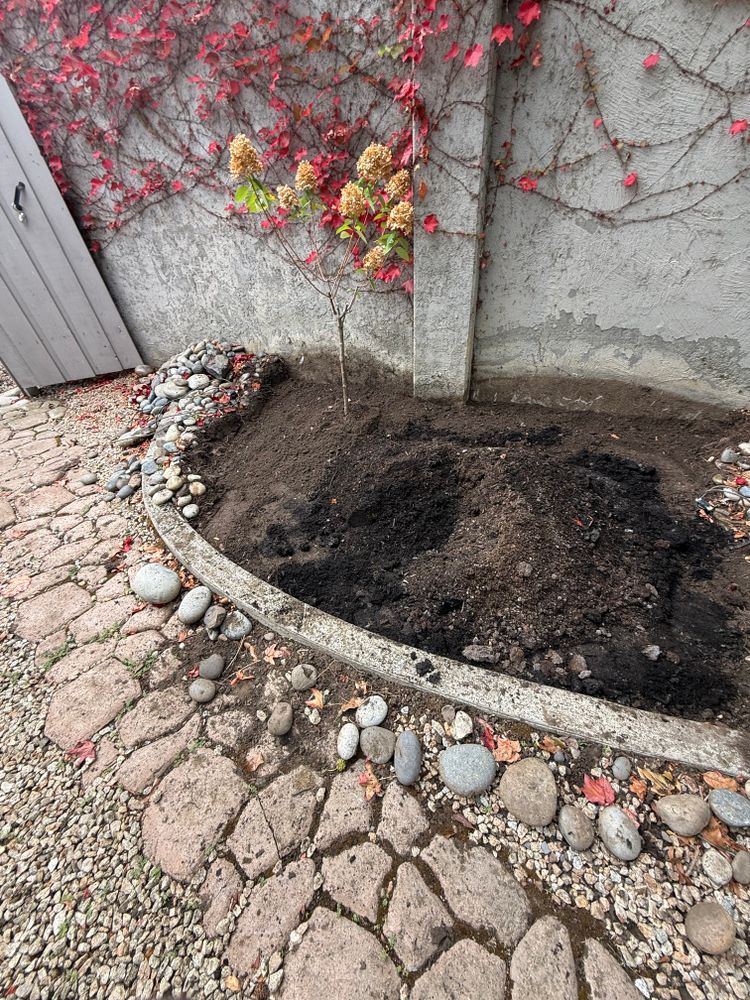 All Photos for CBA Landscaping in Hayward, CA