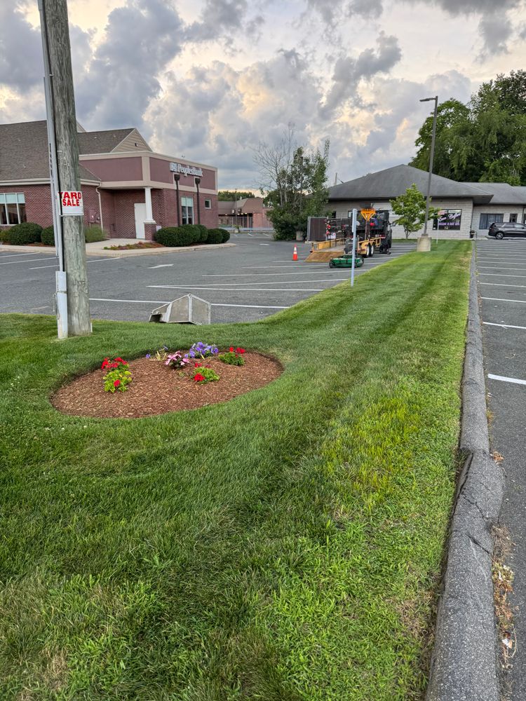 All Photos for Adams Landscaping in Springfield, MA