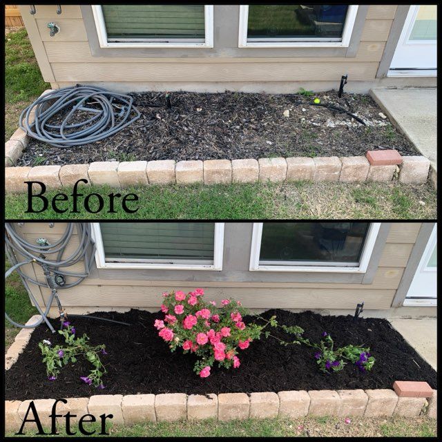 Lawn Care for Scalpel Lawn Service in Temple, TX