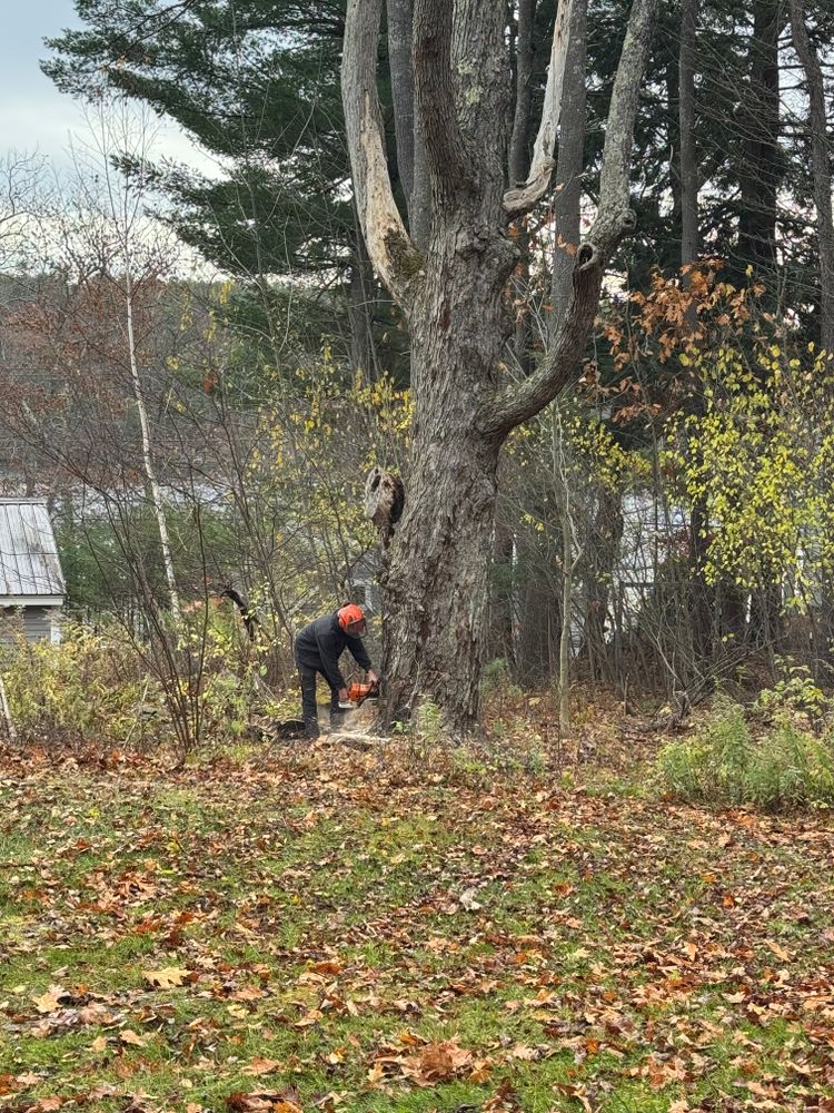 All Photos for Clifford’s Quality Tree Care & Landscaping in Enfield, NH