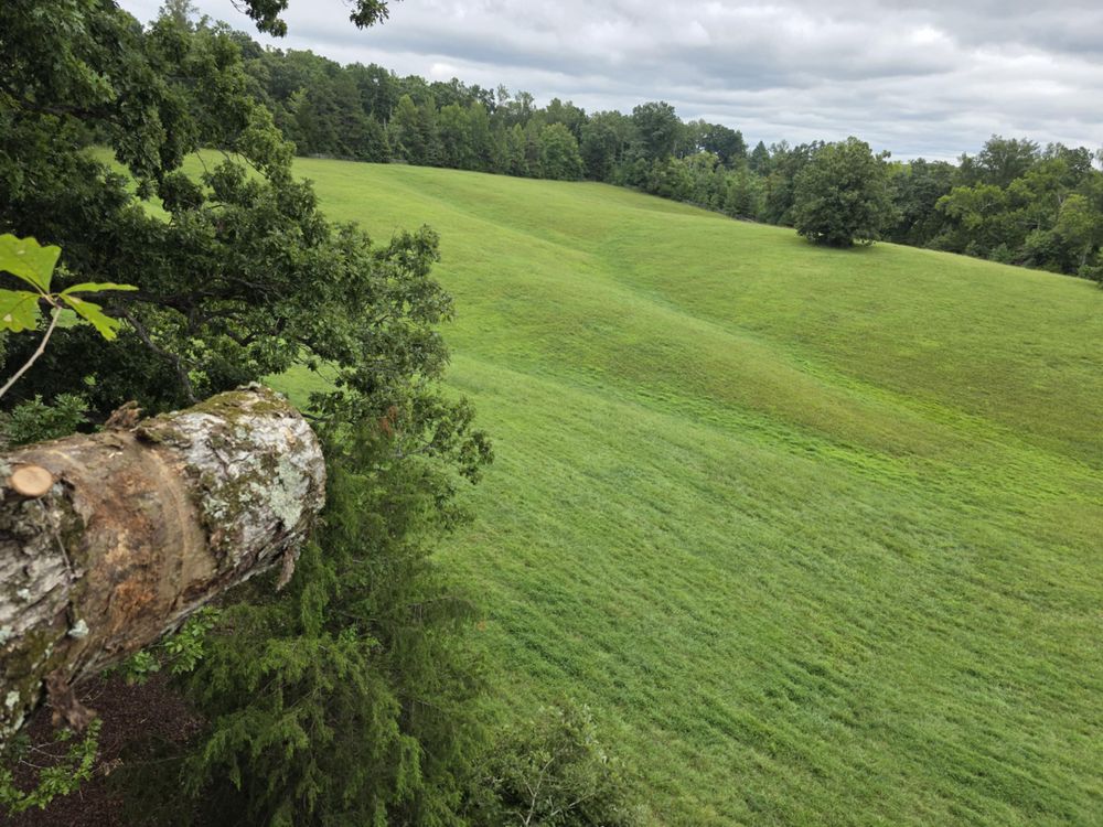 All Photos for Smith Tree Experts in Palmyra, VA
