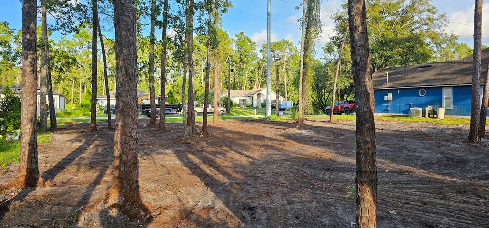 Our Grading Services expertly level your property, ensuring proper drainage and stability. We also efficiently remove tree stumps, providing a smooth foundation for your next landscaping or hardscaping project. for Powell Environmental Services in Deltona, FL