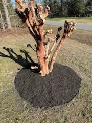 All Photos for C + C Landscaping in Chesterfield, VA