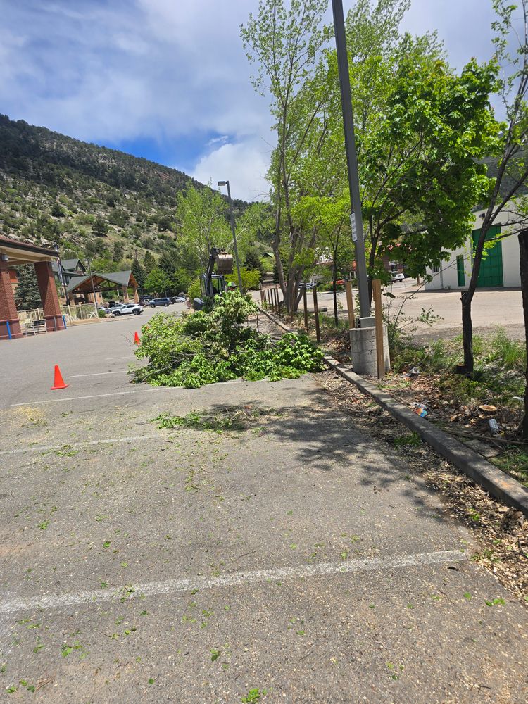 All Photos for LRS: Landscape, Rescue, Snow in Silt, CO