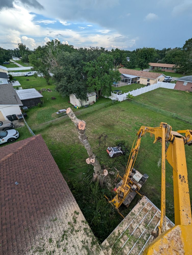 All Photos for Regal Tree Service and Stump Grinding in Wauchula, FL