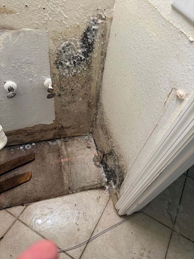 All Photos for Titan Remediation Industries in West Palm Beach, FL