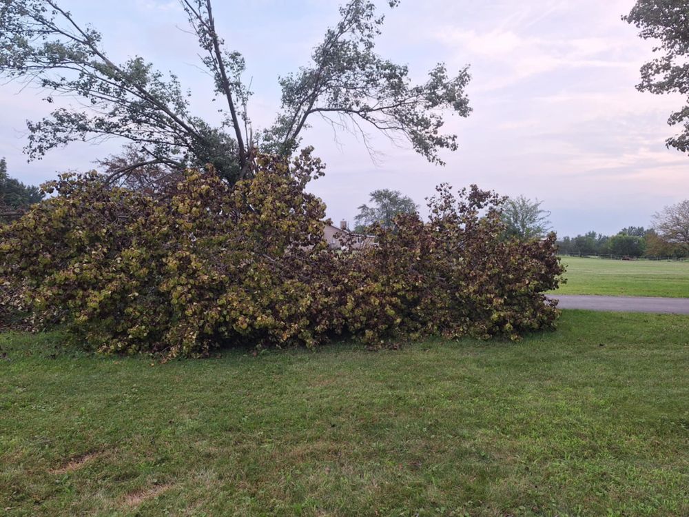 Emergency Storm Work for Highborn Tree Service in Wheatfield, IN