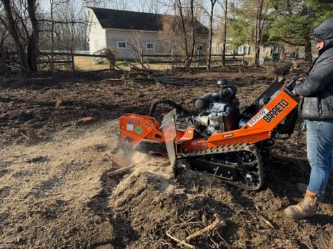 All Photos for Home Perfection in Brick Township, NJ