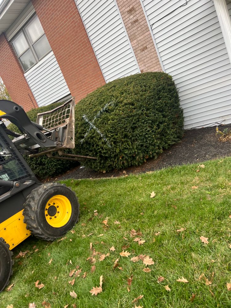 All Photos for Mark’s Mowing & Landscaping LLC  in Ashville, OH