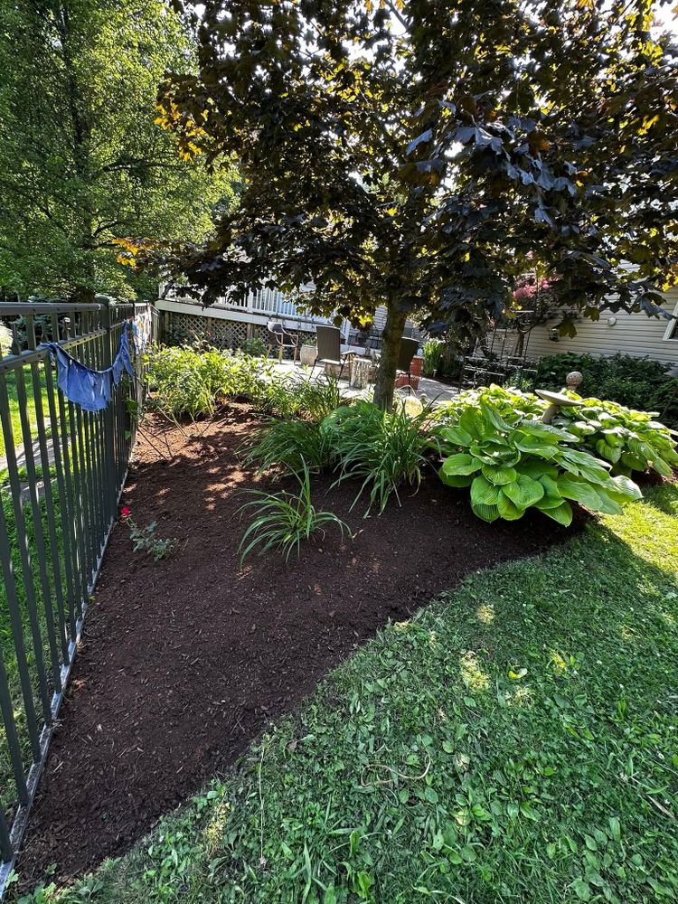 Lawn Care for Lopez Landscaping and Hardscapes in Scranton, PA