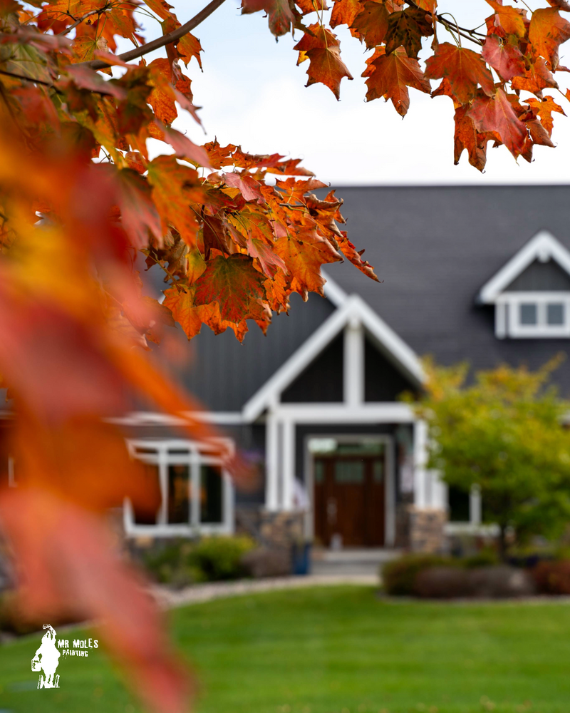 All Photos for Mr. Mole's Painting in Bemidji, MN