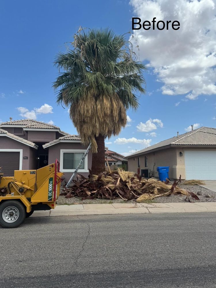 All Photos for By Faith Landscaping in Sierra Vista, AZ