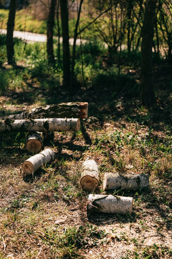 Vertical mulching enhances tree health by creating deep vertical channels in the soil, allowing water, oxygen, and nutrients to reach the roots more effectively. Improve your tree's vitality with our service. for Poseidon Valley Tree Service Corp in San Bernardino, CA