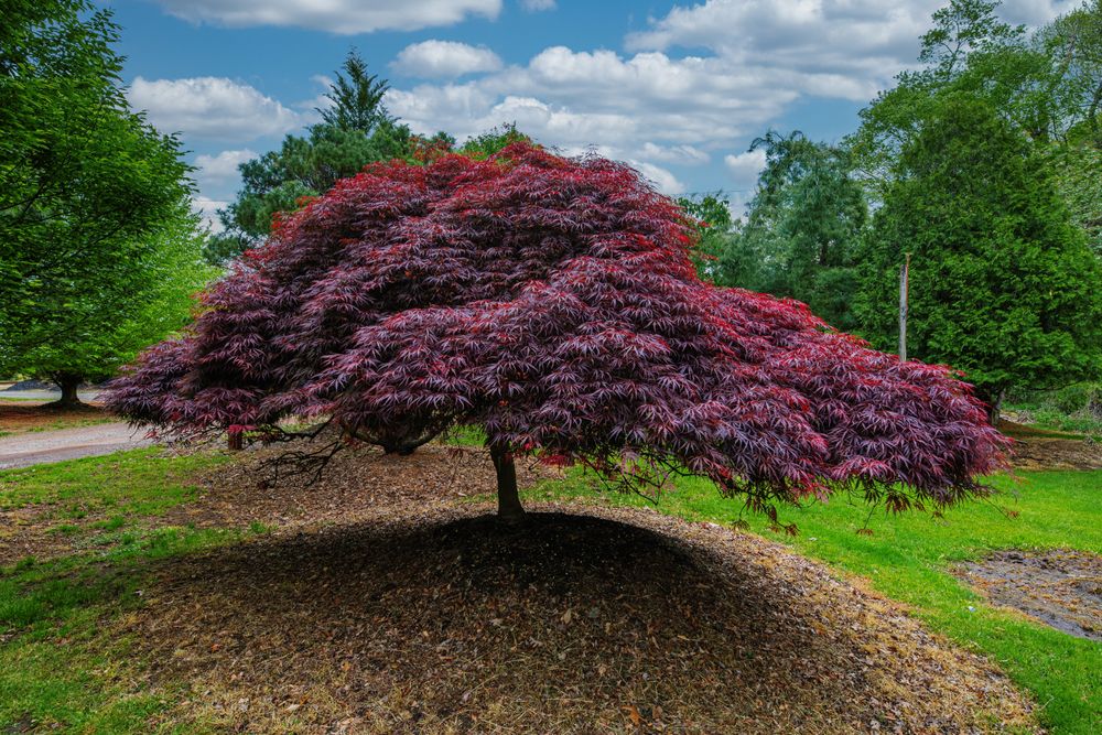 All Photos for  in Morristown, NJ
