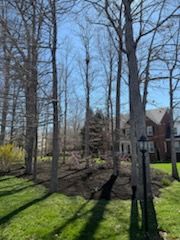 All Photos for C + C Landscaping in Chesterfield, VA