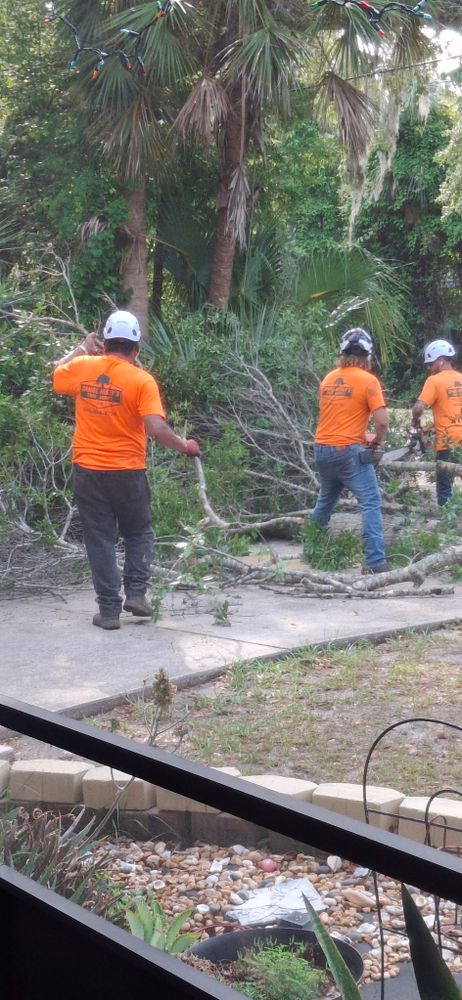 All Photos for Daniel Hickey’s Tree Service in DeLand, FL