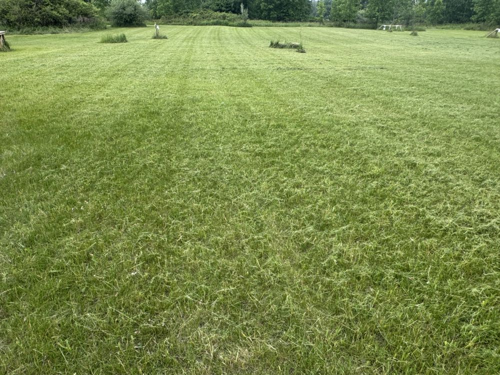 Landscaping Lawn Care for Daugherty's Tough Lawn Care in Essexville, MI