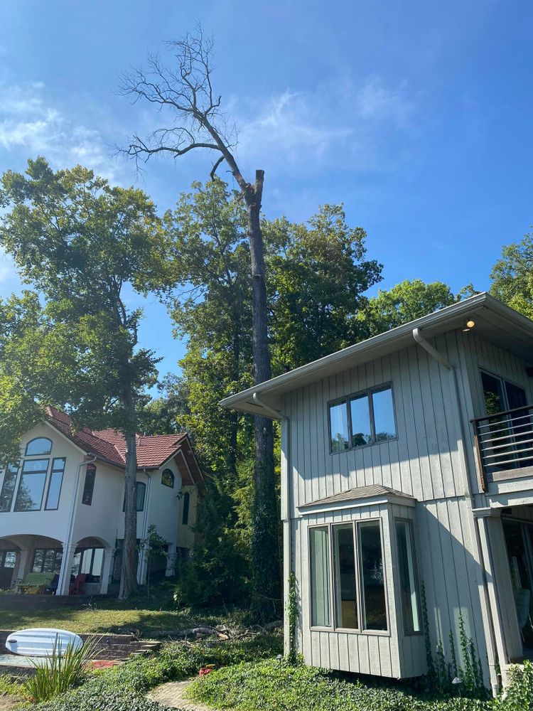 Tree Removal for SMITHs Tree Service in Columbus, IN