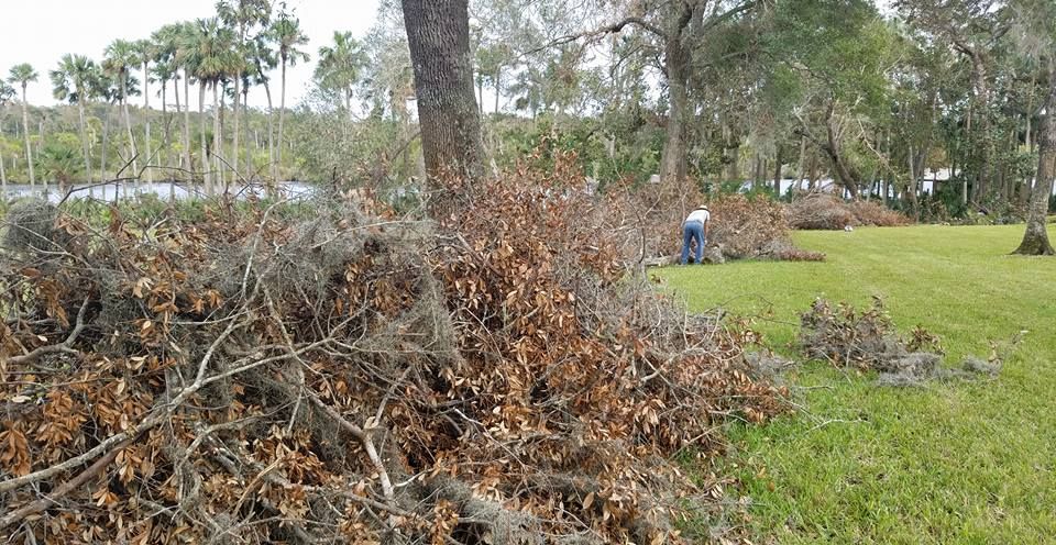 Our Fall Clean Up service is designed to help homeowners prepare for the winter months by efficiently removing leaves, debris, and branches from their property to maintain a clean and tidy landscape. for Spruce Creek Tree Service in Port Orange, FL