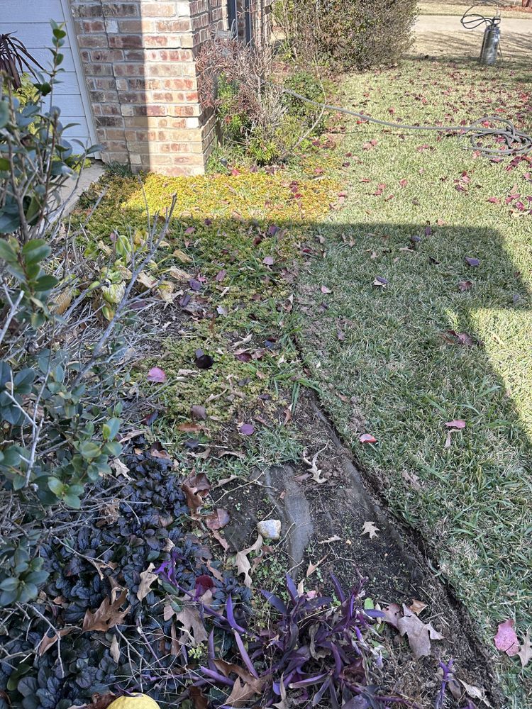 All Photos for Artistic Edges in Texarkana, AR