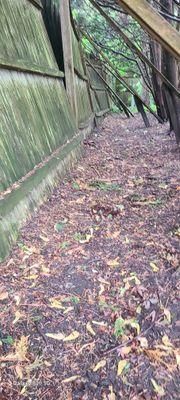 All Photos for Fence Medic in Arlington Heights, IL