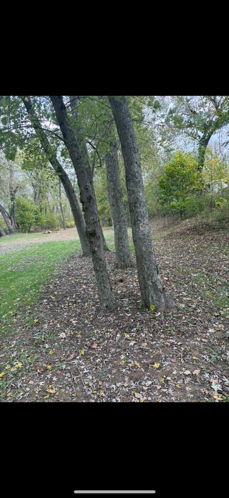 All Photos for Kehl Lawn and Landscape in Athens, OH