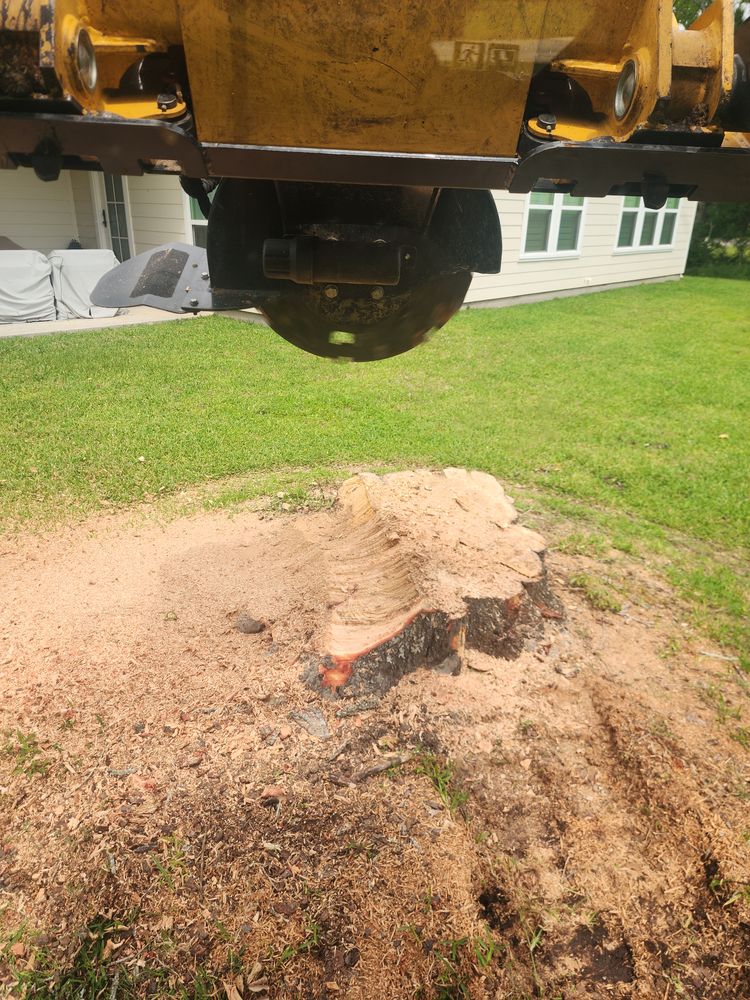 All Photos for CKD's Mulching Services in League City, TX