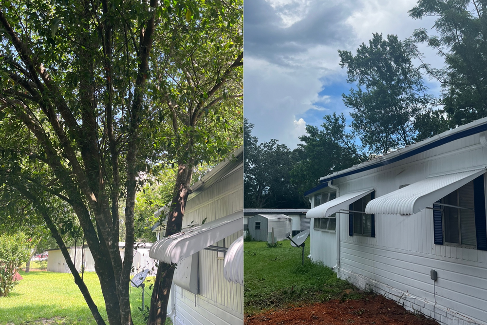 Tree Removal or Trimming  for All American Property Services in High Springs, FL