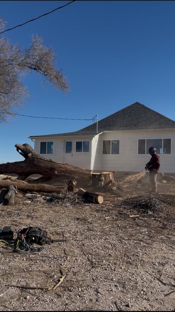 All Photos for Graham’s Tree Services in Pierce, CO