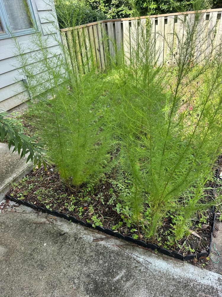 All Photos for Carolina Odd Jobs Inc. in Sneads Ferry, NC