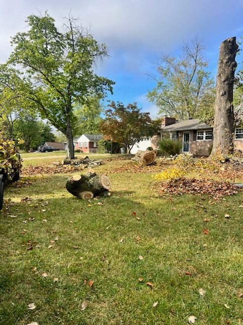 Mowing and Edging for Robbie's Lawn Care, LLC in Middletown, OH