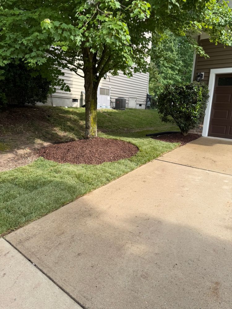 All Photos for Done2Day LLC in Wake Forest, NC