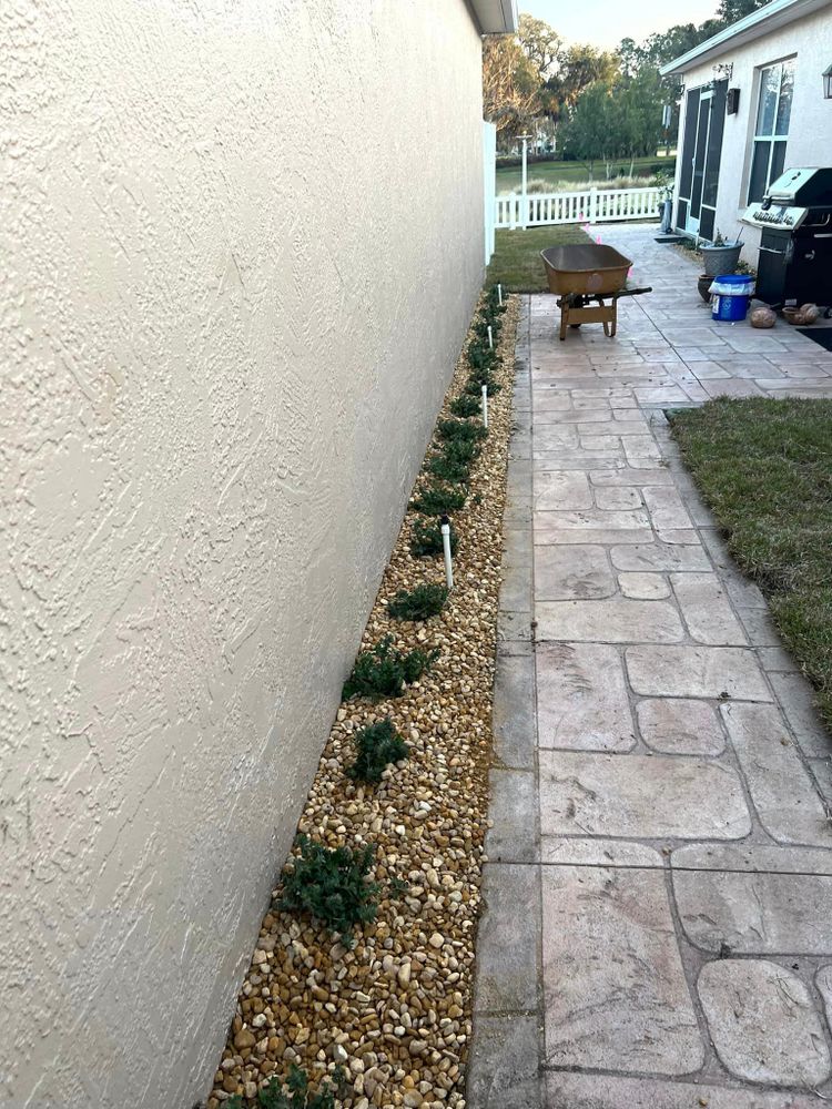 Landscaping for R.B. & Company in Bellview, FL