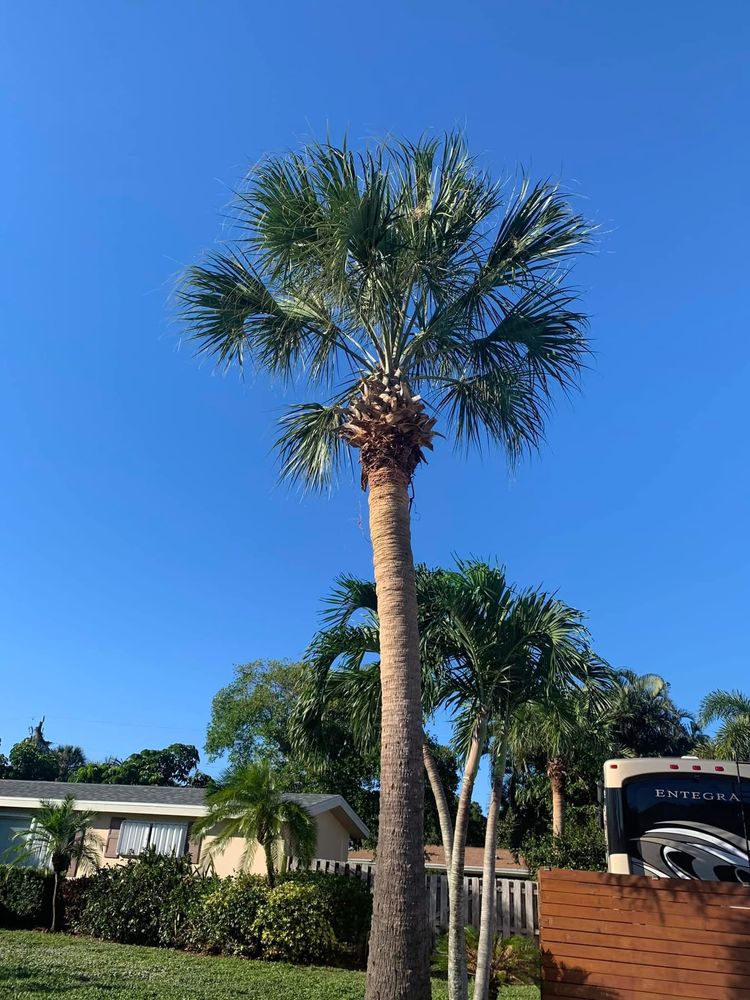 All Photos for Space Coast Property Maintenance and Management LLC in Melbourne, FL