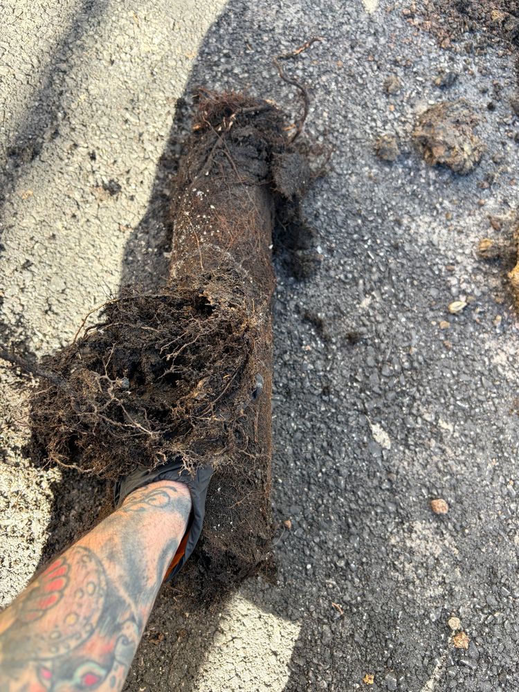 All Photos for The Drain Force in Cleveland, OH