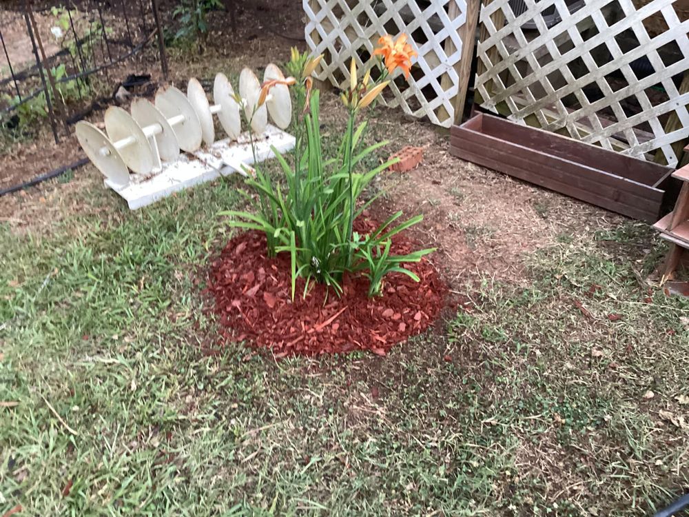 All Photos for Xtreme Landscaping & Lawn Care in Lincoln, AL