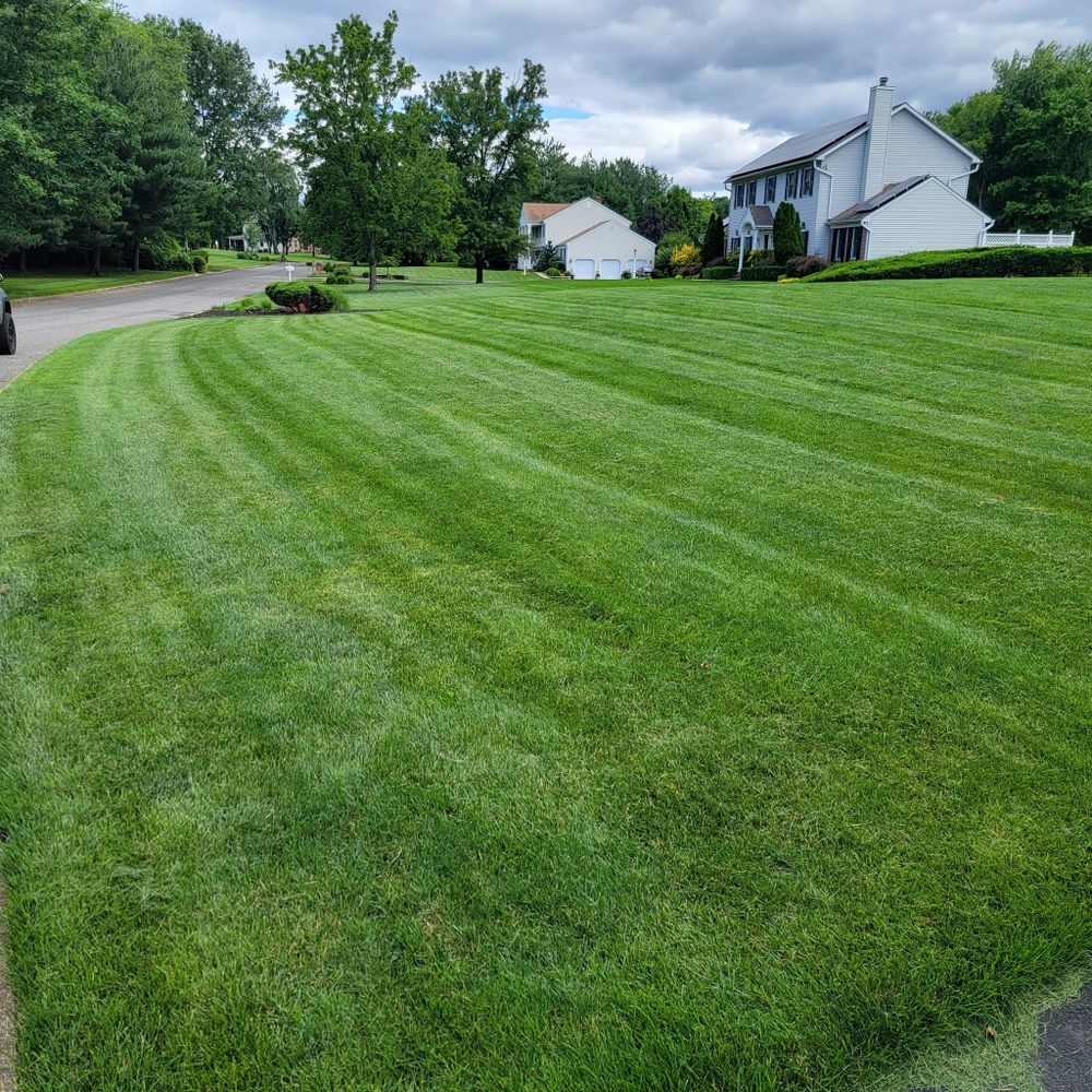 Full Service for DBs Lawn Care in Westampton Township, New Jersey