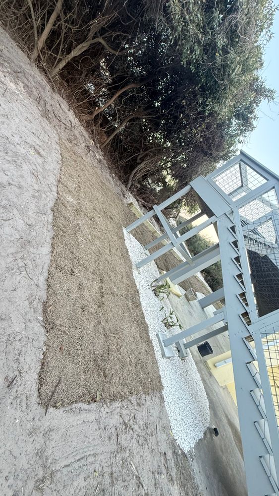 All Photos for Santos Landscape in Waycross, GA