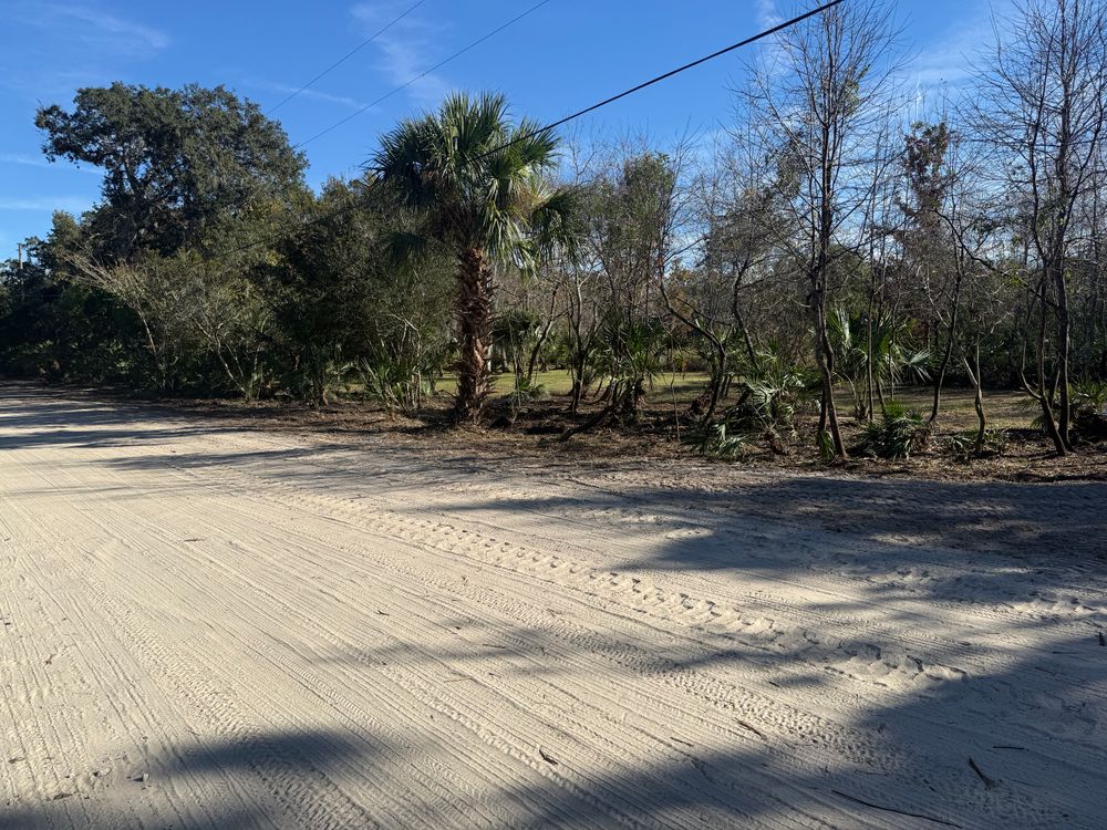 All Photos for Amerigrown Tree And Lawn in Apopka, FL