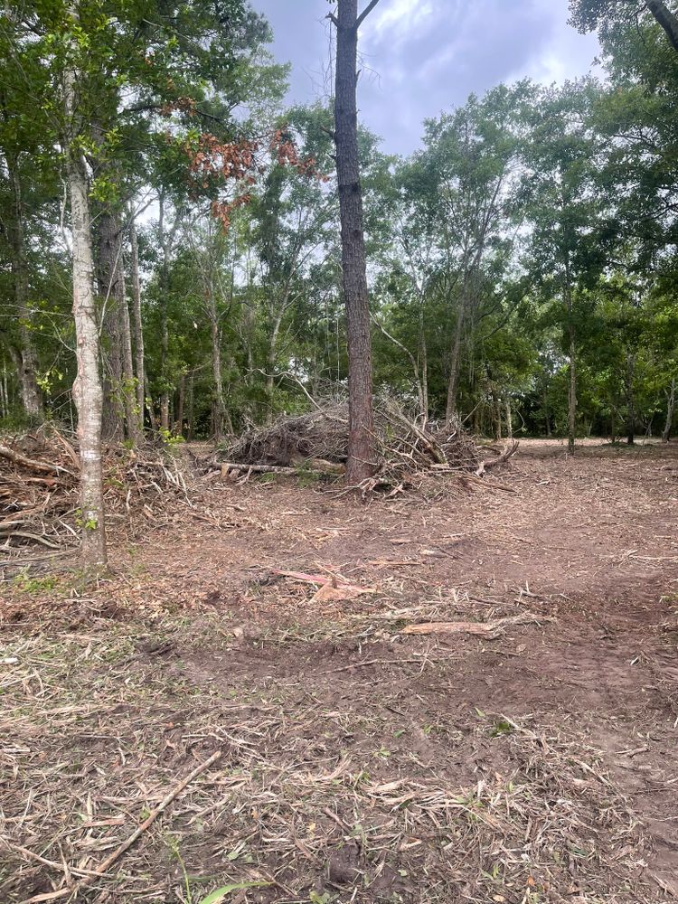 Land Clearing for Dirty South Land Management  in Robertsdale, AL