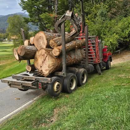 Our Chipper & Dump Truck Service ensures swift and efficient tree debris removal, including stump grinding and branch disposal. We clear your property safely, enhancing curb appeal and maintaining a clean, beautiful outdoor space. Let us handle the heavy work so you can enjoy a tidy, well-kept landscape! for Lopez Landscaping and Tree Service  in Waynesville, NC